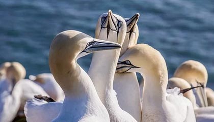 武义县最新的高价医保个人账户余额微信查询方法分享(武义县医保查询个人账户明细怎么查微信教程)