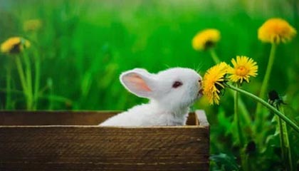 武义县最新的高价找中介取公积金违法吗方法分享(武义县中介取公积金怎么收费教程)